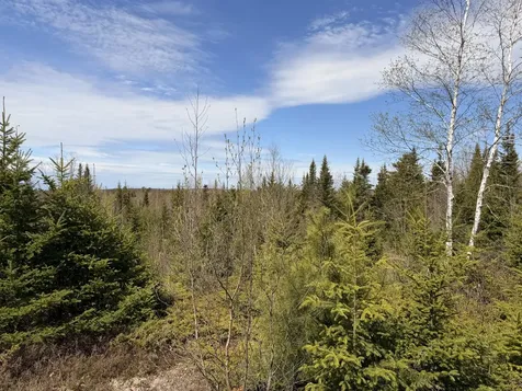 76 Morancy Road Sullivan ME 04664