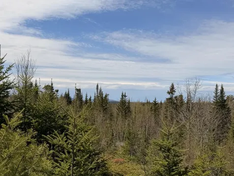 76 Morancy Road Sullivan ME 04664