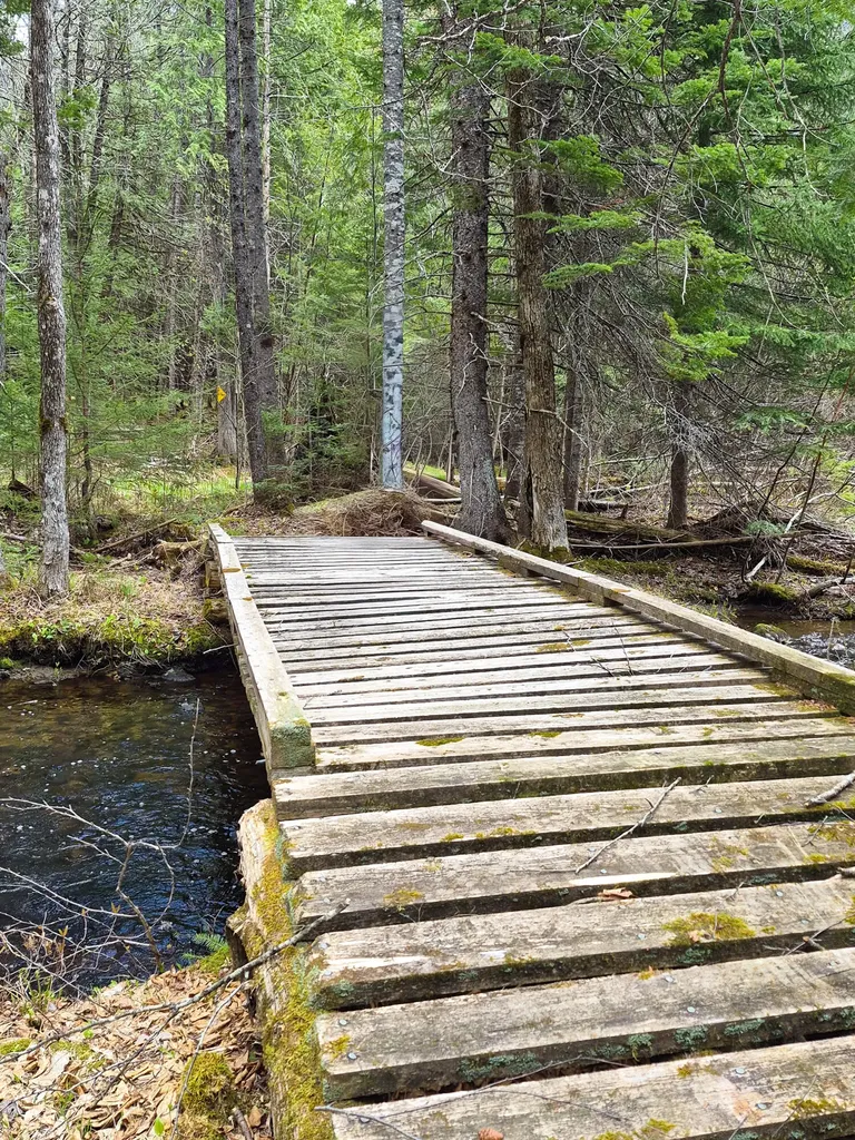 164 Indian Stream Road Kingfield ME 04947