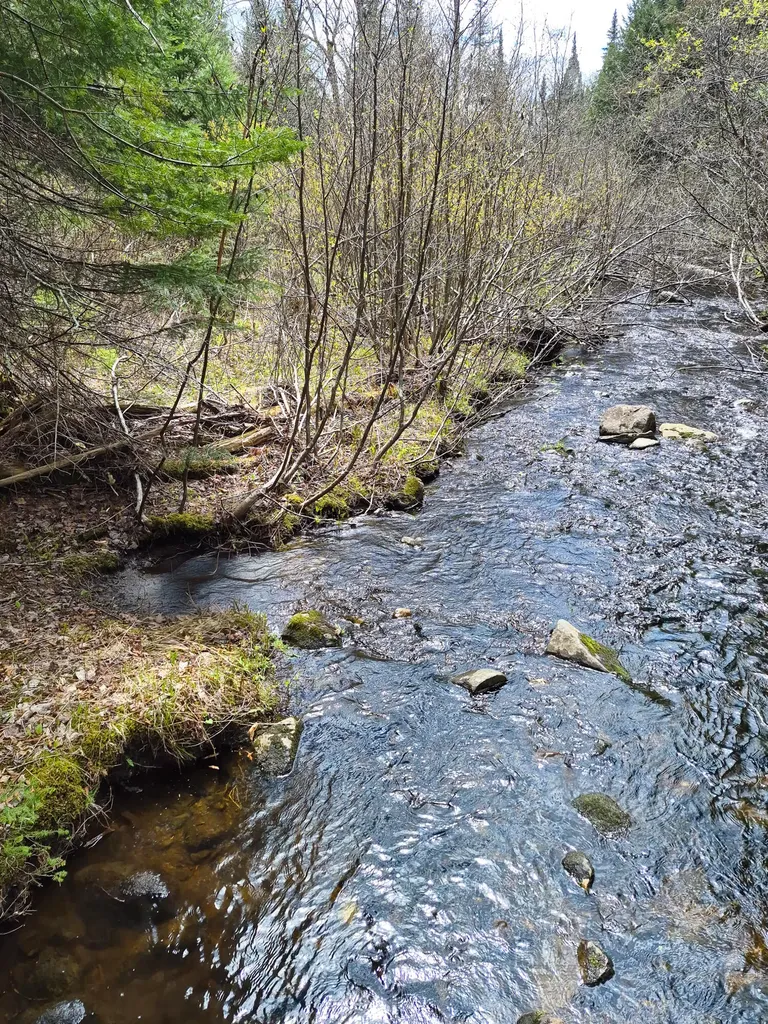 164 Indian Stream Road Kingfield ME 04947