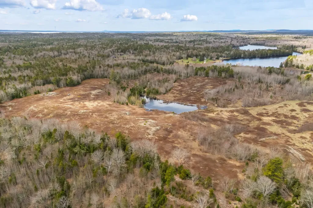 Lot #1A Guzzle Road Gouldsboro ME 04607