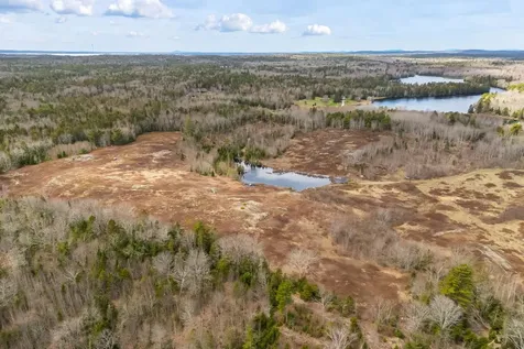 Lot #1A Guzzle Road Gouldsboro ME 04607