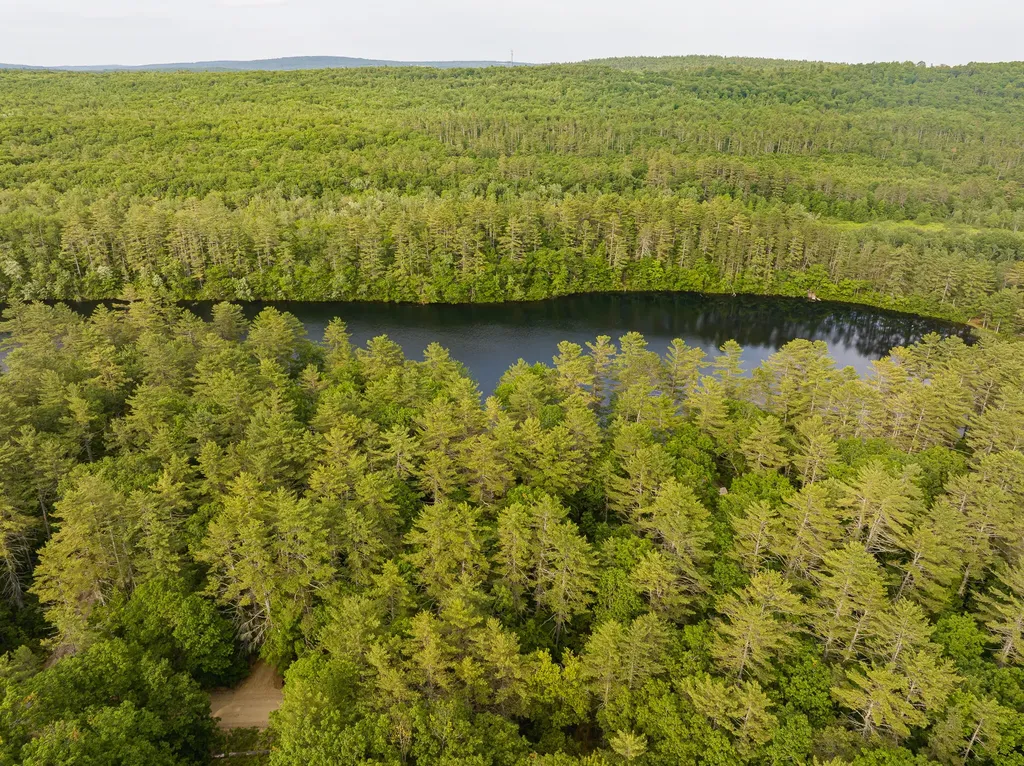 Lot 13 Old County Road Oxford ME 04270