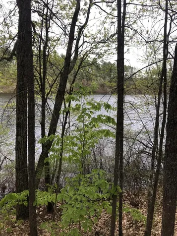 Lot 13 Old County Road Oxford ME 04270