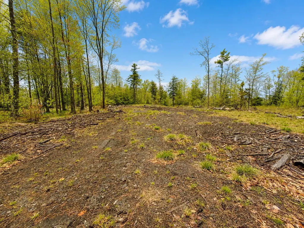 MAP13LOT30 Clarks Bridge Road Waterboro ME 04061