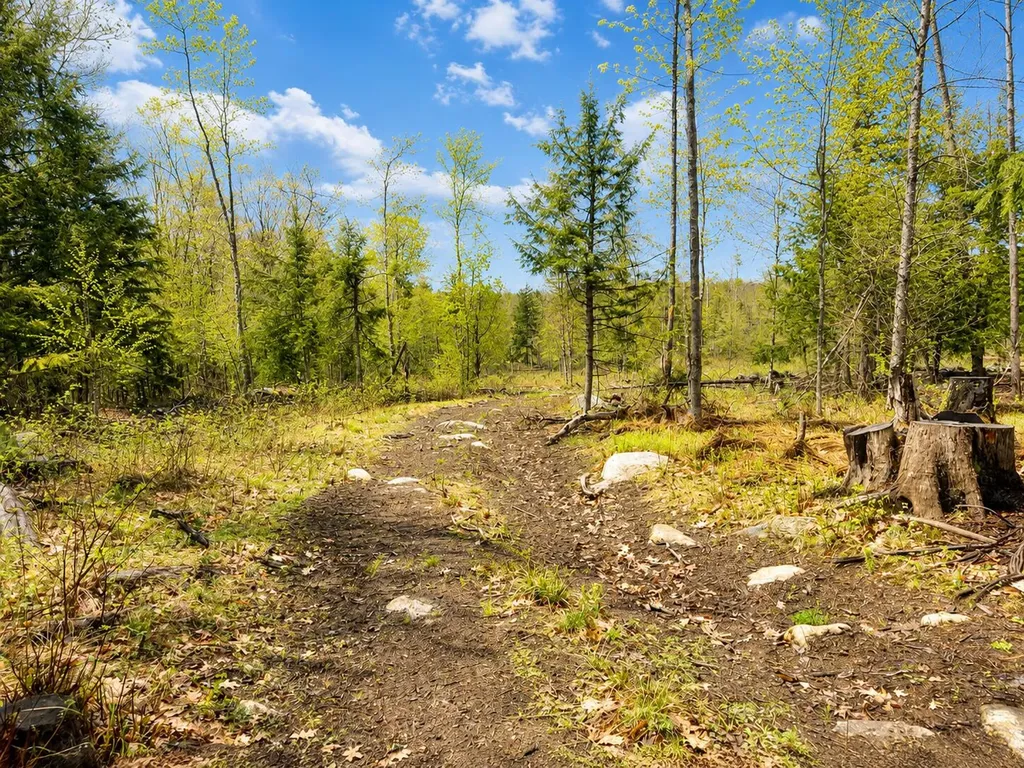 MAP13LOT30 Clarks Bridge Road Waterboro ME 04061