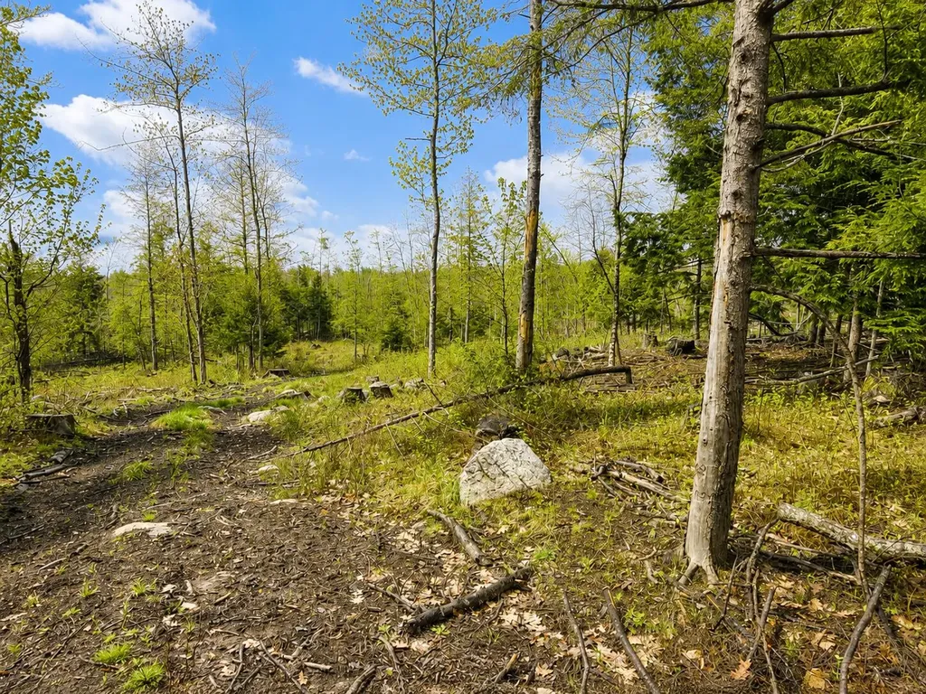 MAP13LOT30 Clarks Bridge Road Waterboro ME 04061