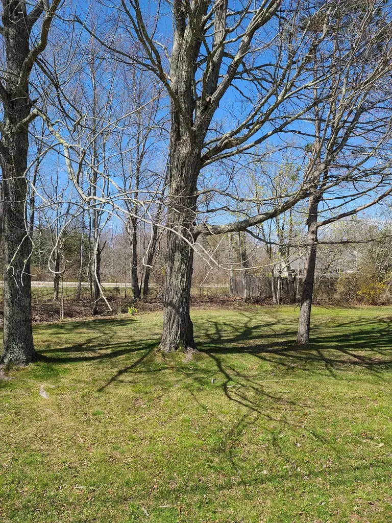 4 Bayview Street Searsport ME 04974