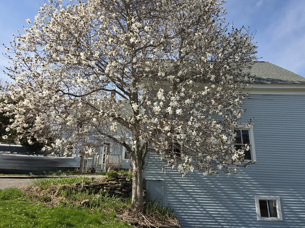 33 Moosehead Trail Highway Brooks ME 04921