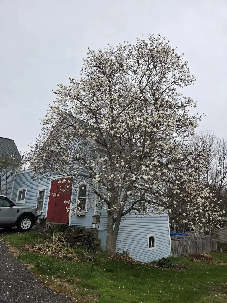 33 Moosehead Trail Highway Brooks ME 04921