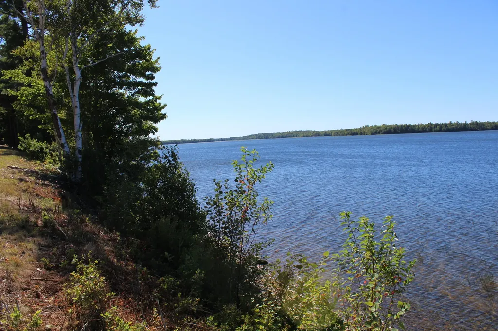441 Lake Road Perry ME 04667
