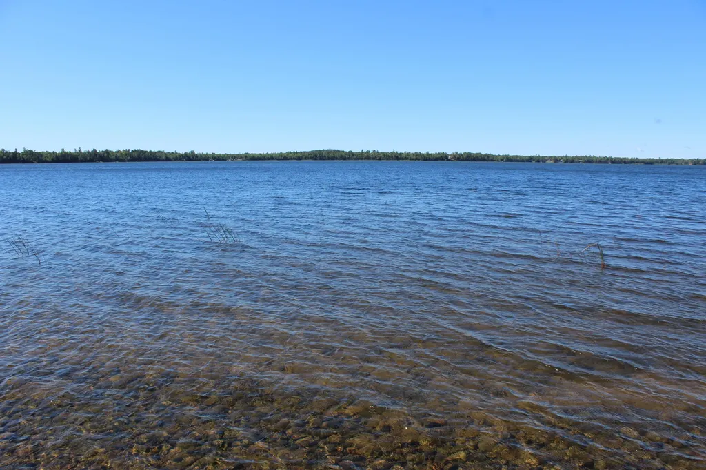 441 Lake Road Perry ME 04667