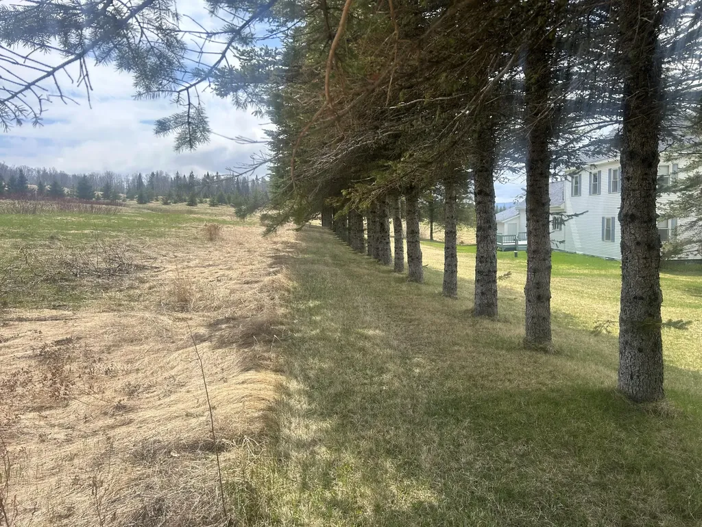 304 Strip Road Wallagrass ME 04781