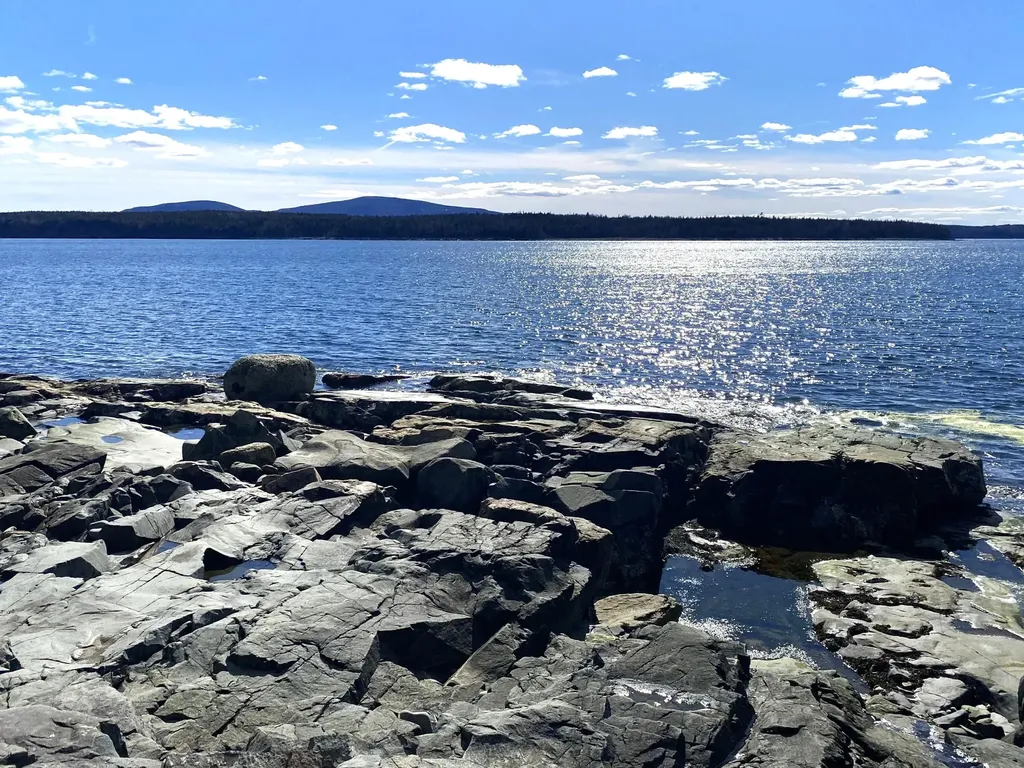 29 Loons Call Winter Harbor ME 04693