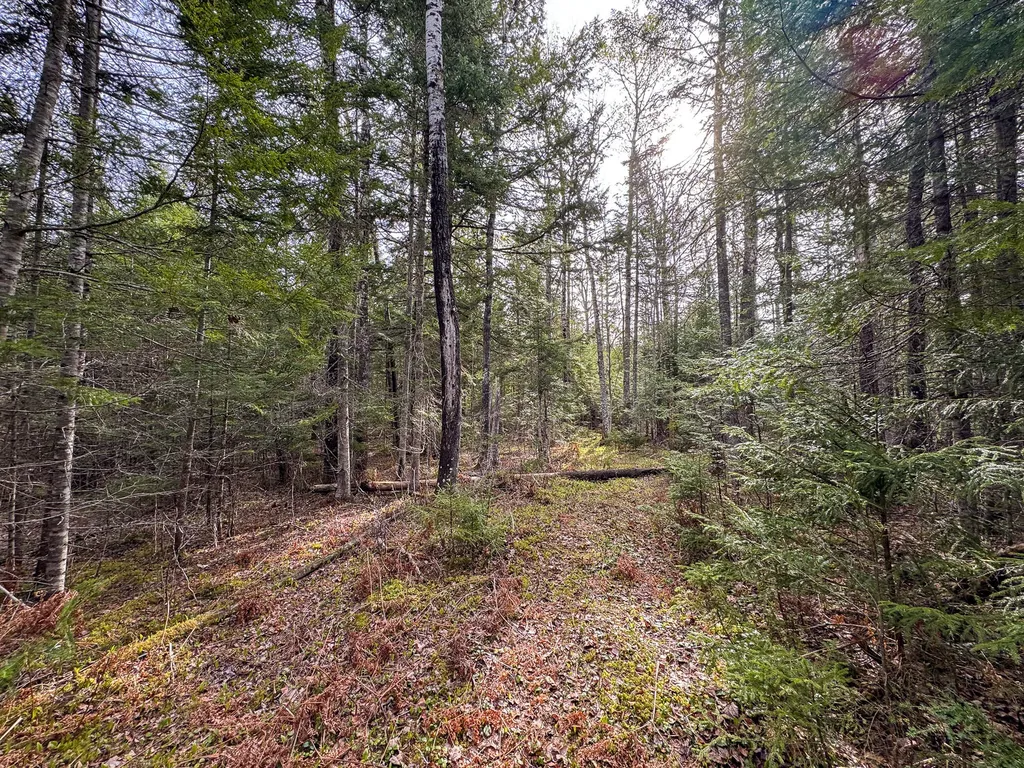 110 Butterfield Ridge Road Chester ME 04457