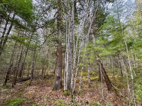 110 Butterfield Ridge Road Chester ME 04457