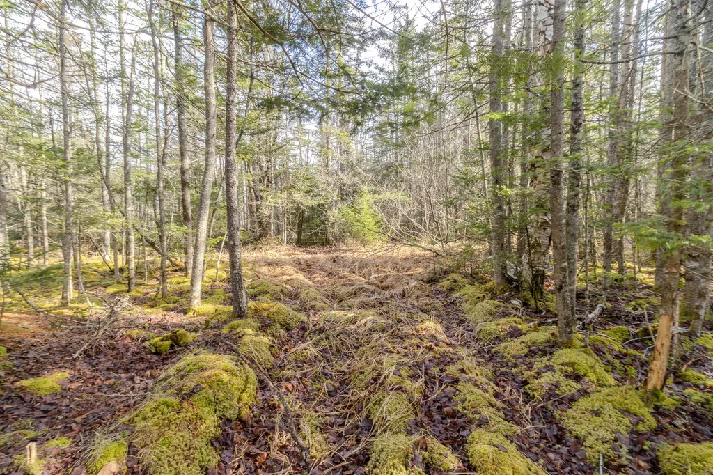 57 Yoho Head Road Machiasport ME 04655