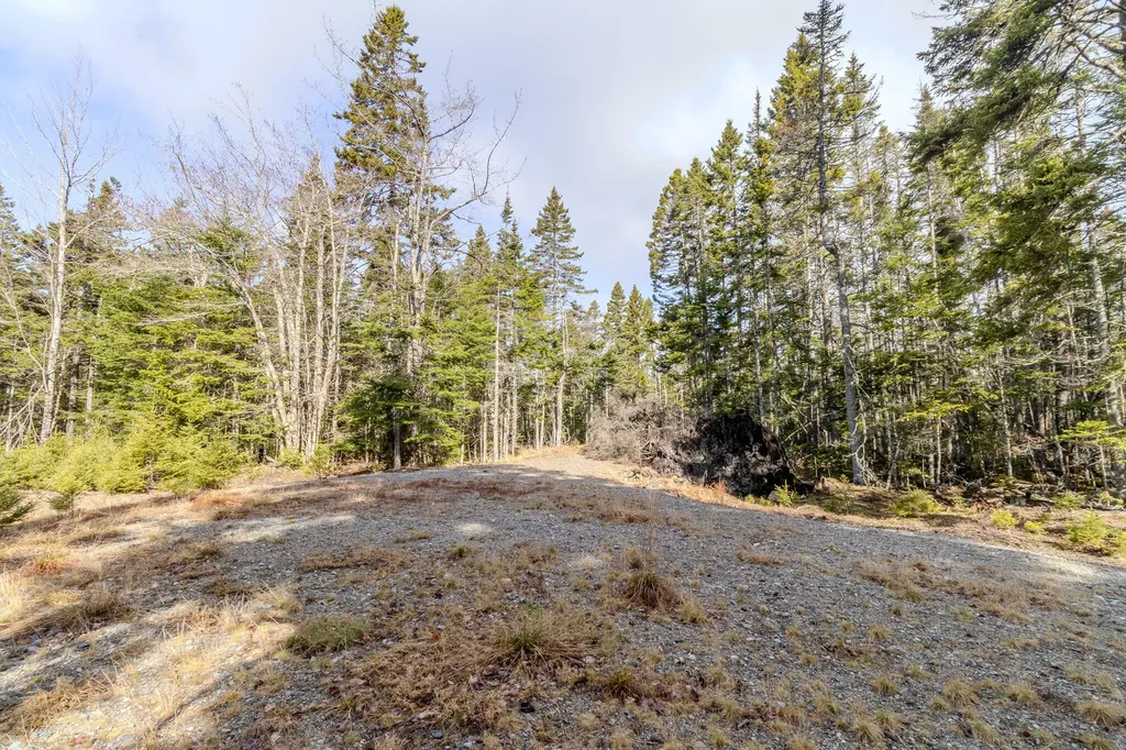 57 Yoho Head Road Machiasport ME 04655