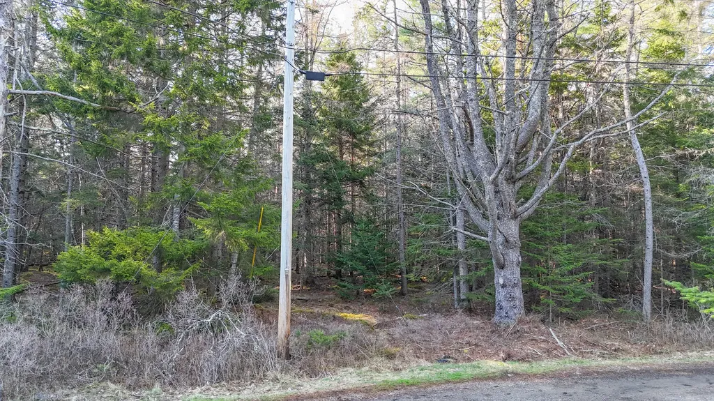 M 10 L107 Salt Pond Road Hancock ME 04640