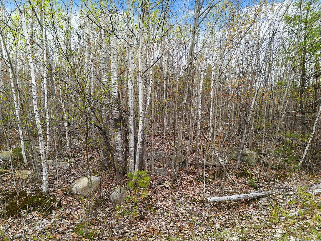 Lot #5 Murdock Place Belgrade ME 04917