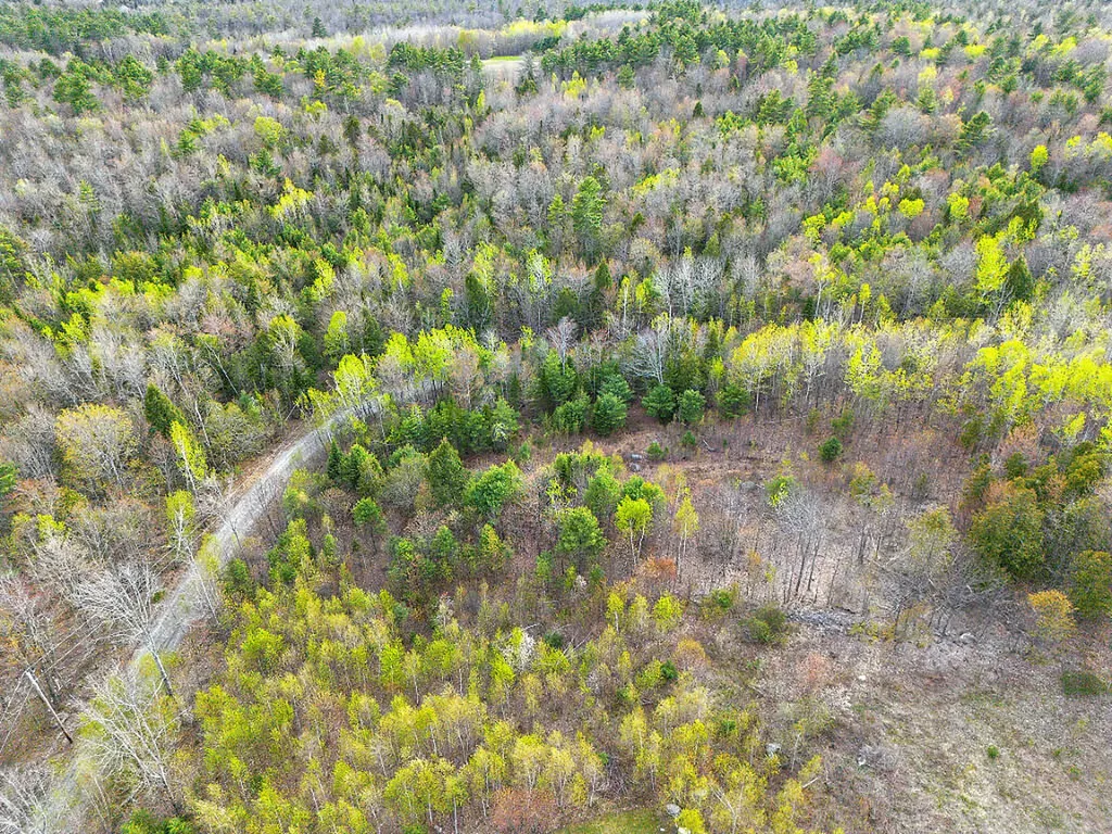 Lot #5 Murdock Place Belgrade ME 04917