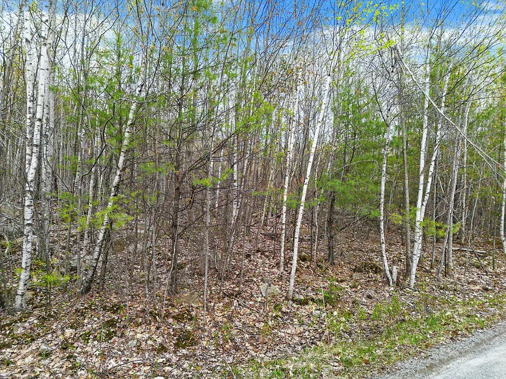 Lot #5 Murdock Place Belgrade ME 04917