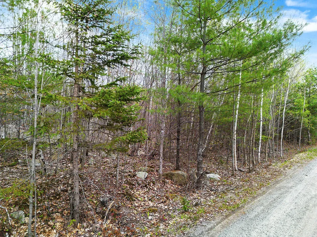 Lot #5 Murdock Place Belgrade ME 04917
