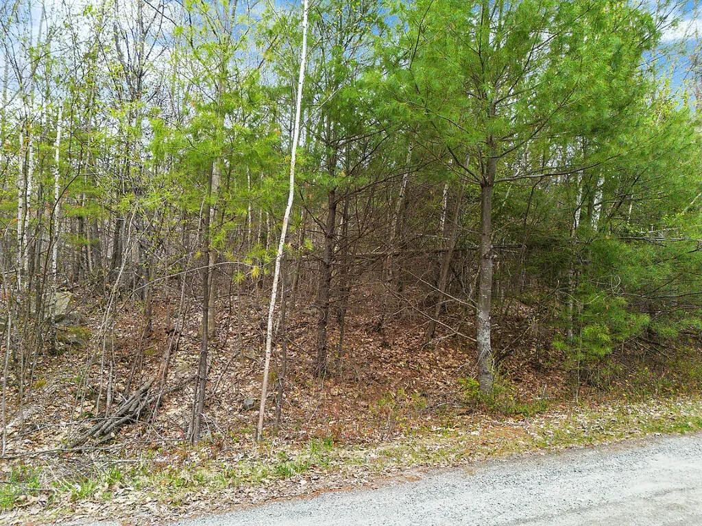 Lot #5 Murdock Place Belgrade ME 04917