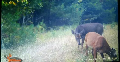 170 Pine Road Greenbush ME 04418