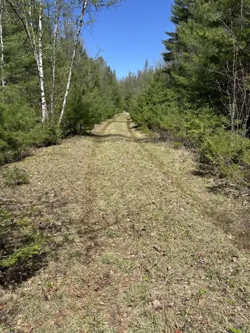 170 Pine Road Greenbush ME 04418