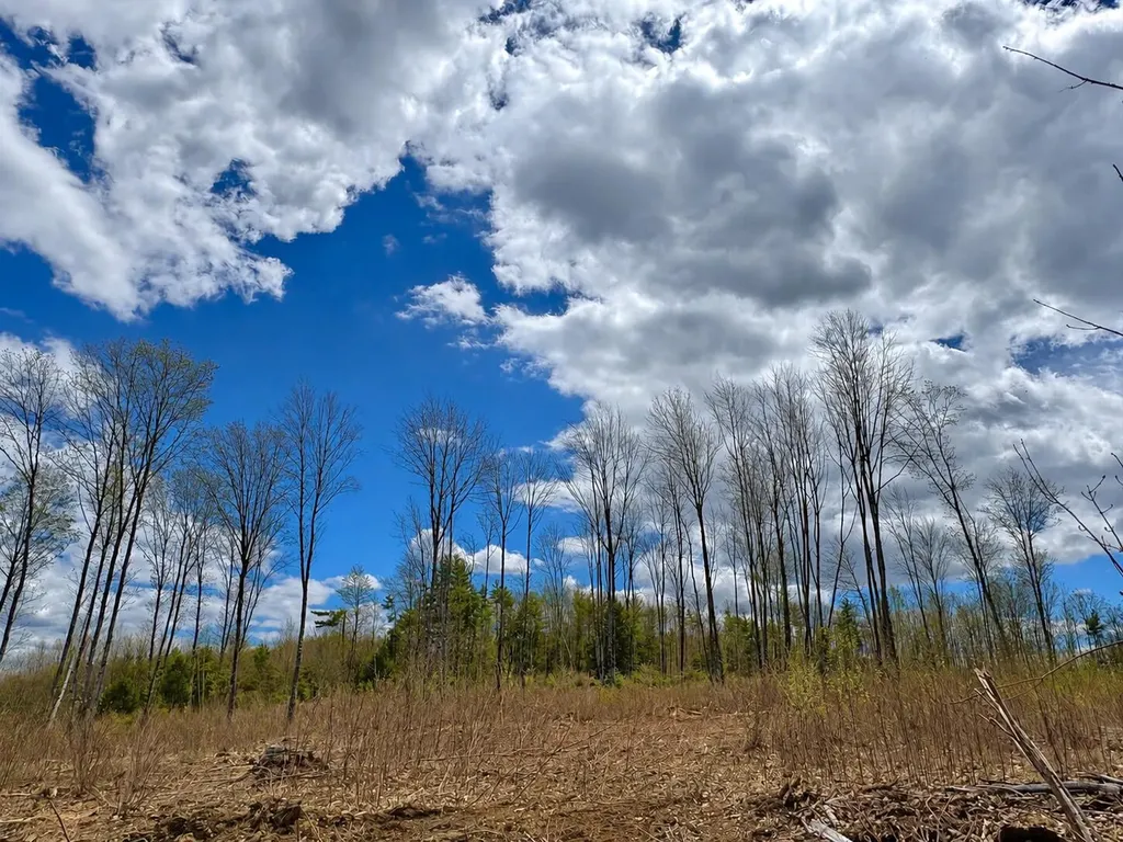 Lot #11 Jordan Heights Road Cornish ME 04020