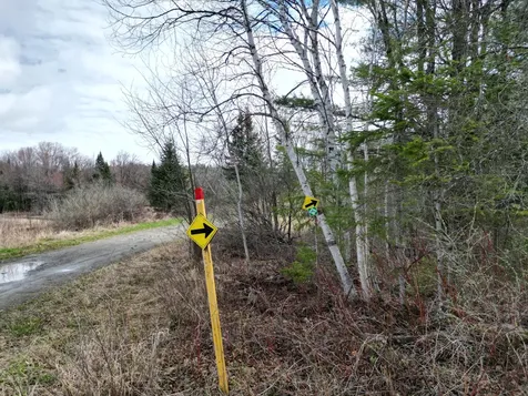 Lot 46h Merriman Road Island Falls ME 04747