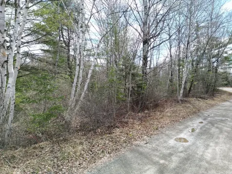 Lot 46h Merriman Road Island Falls ME 04747