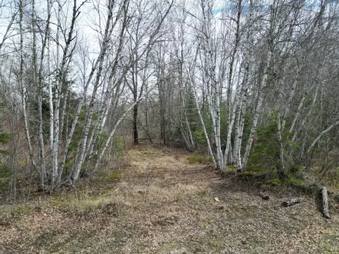 Lot 46h Merriman Road Island Falls ME 04747