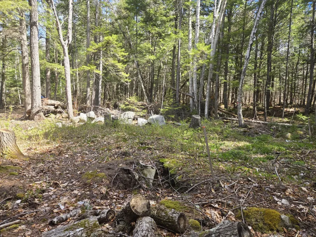 146 Thoroughfare Road Island Falls ME 04747