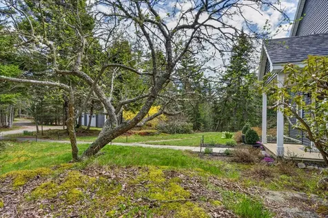 314 Ames Cove Road Brooksville ME 04642