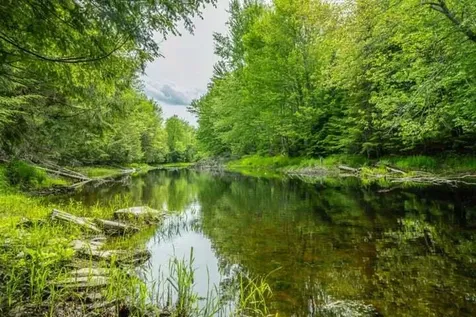 Lot 88-2 Appleton Ridge Road Searsmont ME 04973