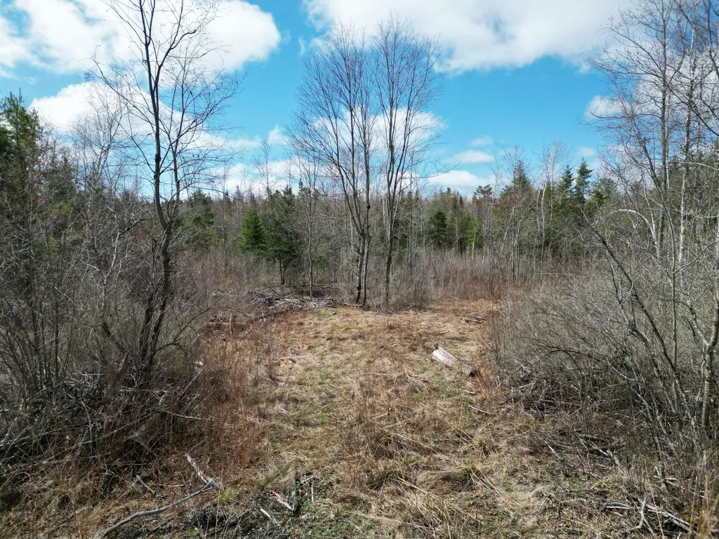 Lot 46i-2 Merriman Road Island Falls ME 04747