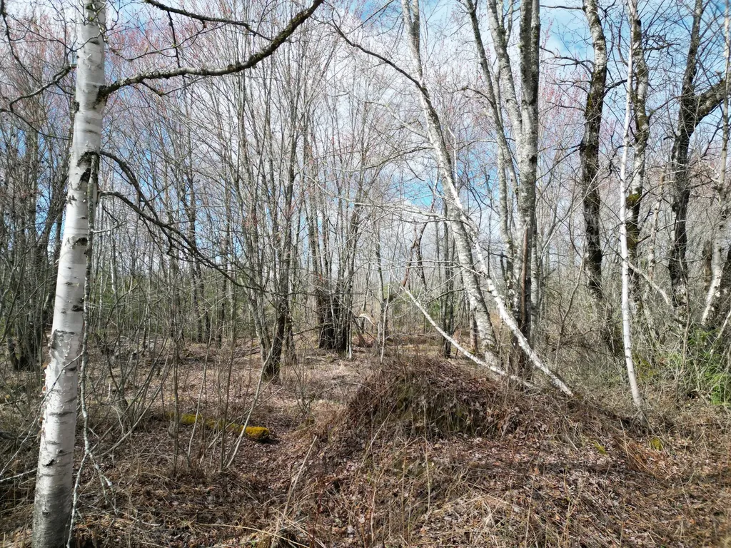 Lot 46i-2 Merriman Road Island Falls ME 04747