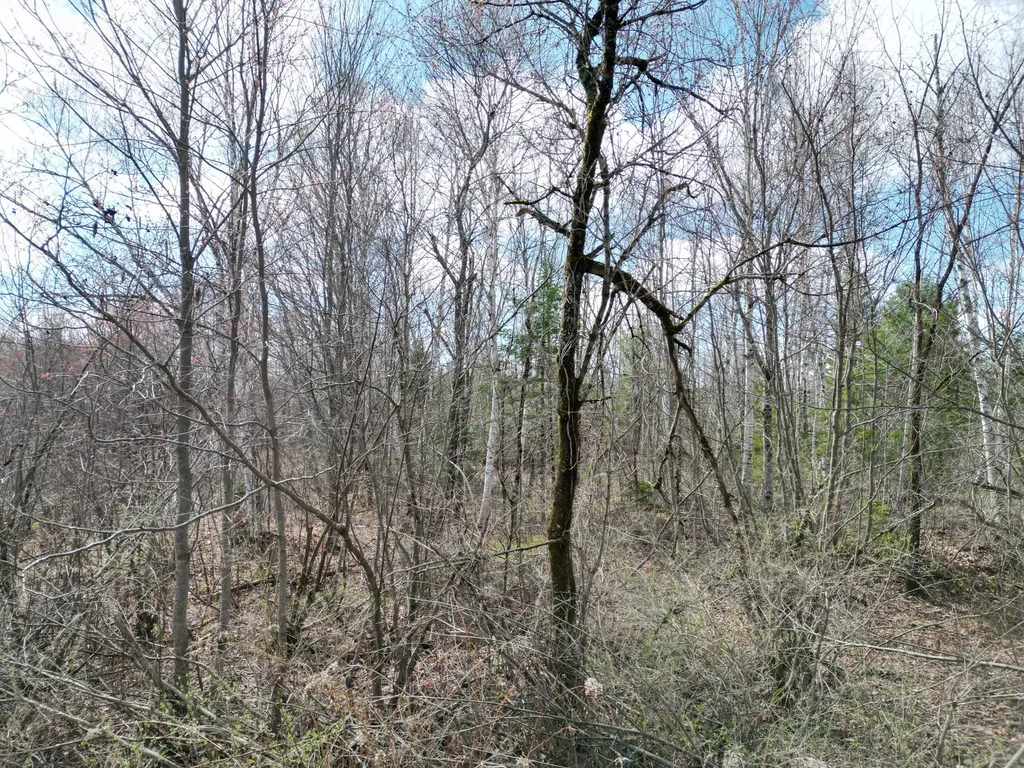 Lot 46i-2 Merriman Road Island Falls ME 04747