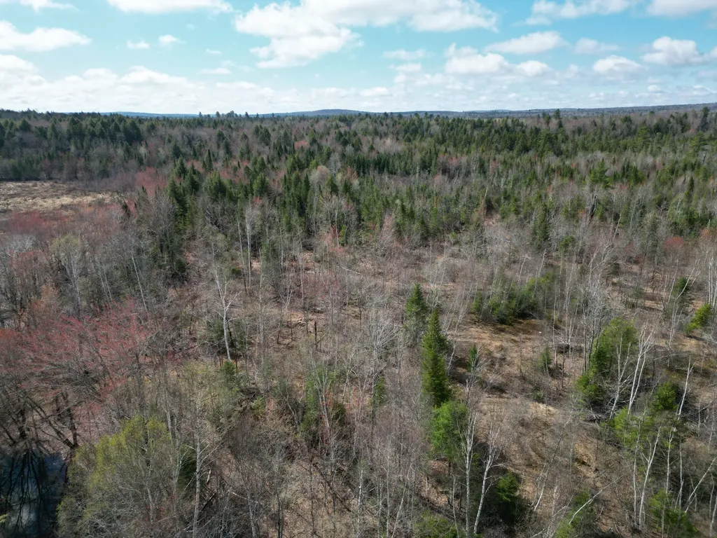 Lot 46i-2 Merriman Road Island Falls ME 04747