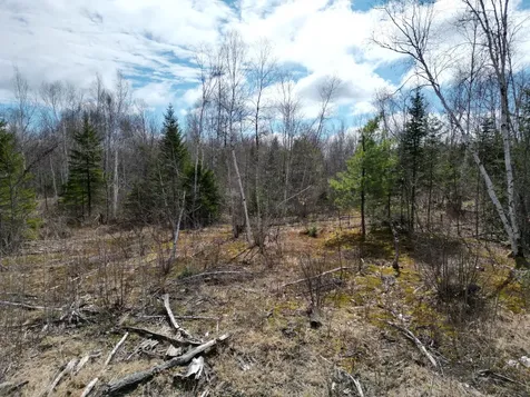 Lot 46i-2 Merriman Road Island Falls ME 04747