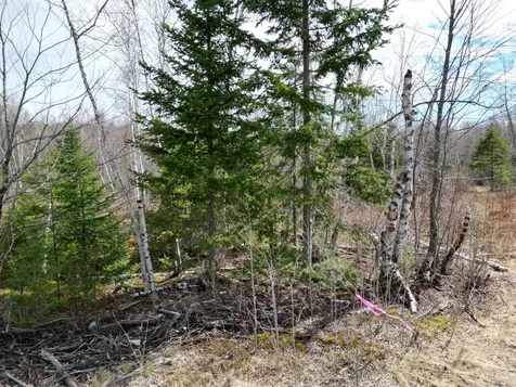 Lot 46i-2 Merriman Road Island Falls ME 04747