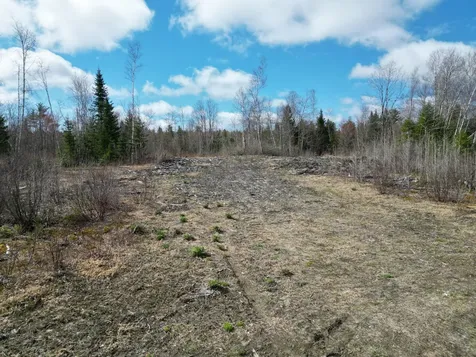 Lot 46i-2 Merriman Road Island Falls ME 04747