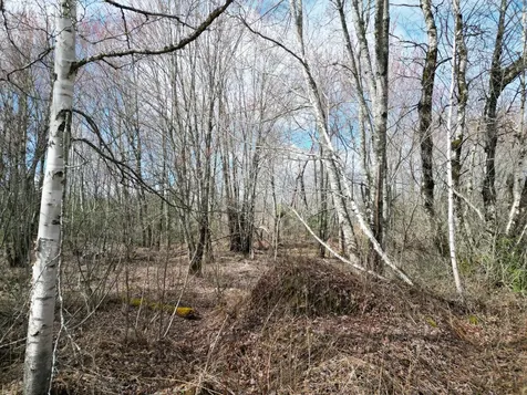 Lot 46i-2 Merriman Road Island Falls ME 04747