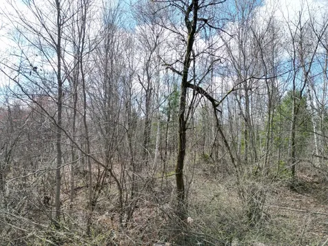 Lot 46i-2 Merriman Road Island Falls ME 04747