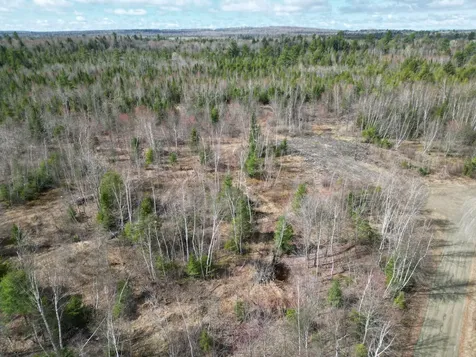 Lot 46i-2 Merriman Road Island Falls ME 04747