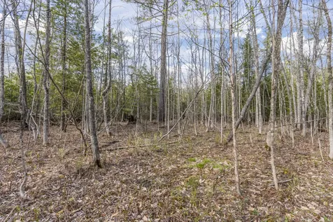 Lot 45-2 Pinewoods Trail Oakland ME 04963