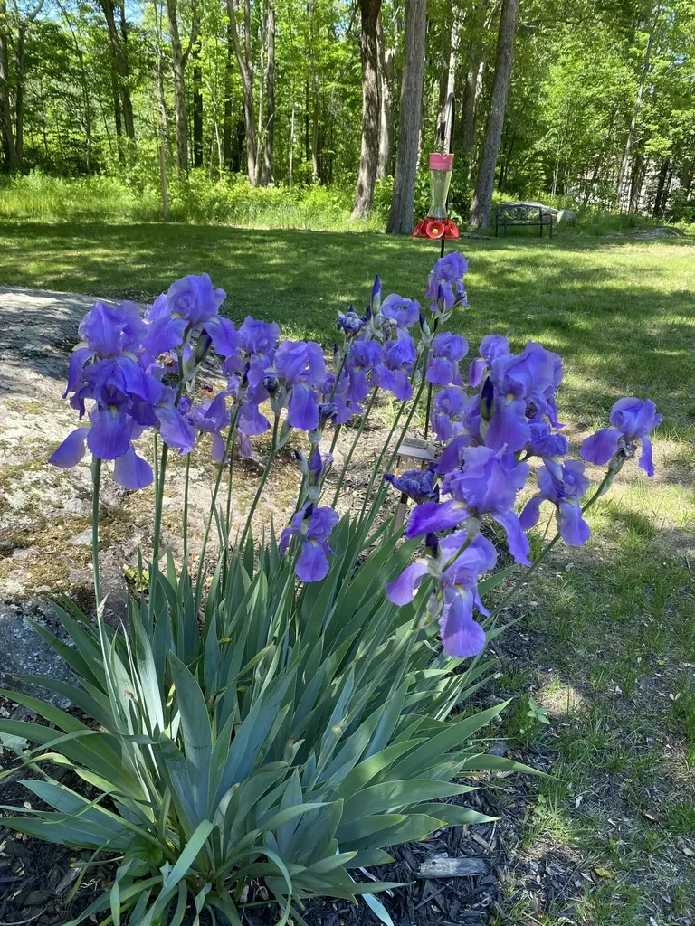 671 Meadow Road Topsham ME 04086