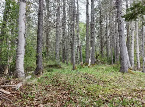 L 3,4,5,11 Sunrise Shores Drive Perry ME 04667